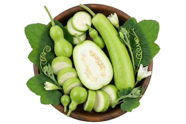 Bottle Gourd